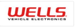 WELLS ELECTRONIC